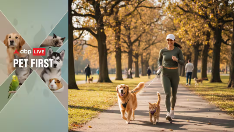 ABP Live Pet First | Is Your Pet Overweight? Simple Ways To Fix It Safely