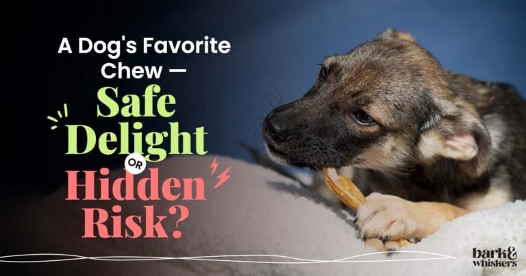 Can Dogs Eat Cartilage? Benefits, Risks, and Safety