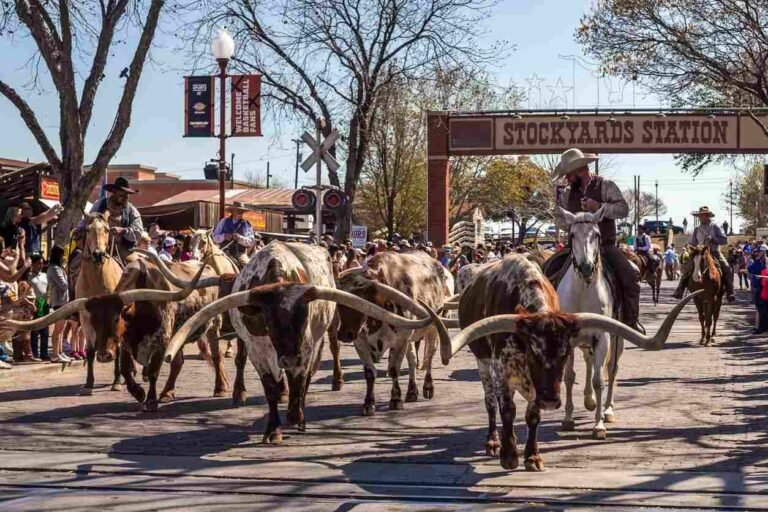 Fort Worth Stockyards cattle drive. Dog-Friendly Places at the Fort Worth Stockyards.