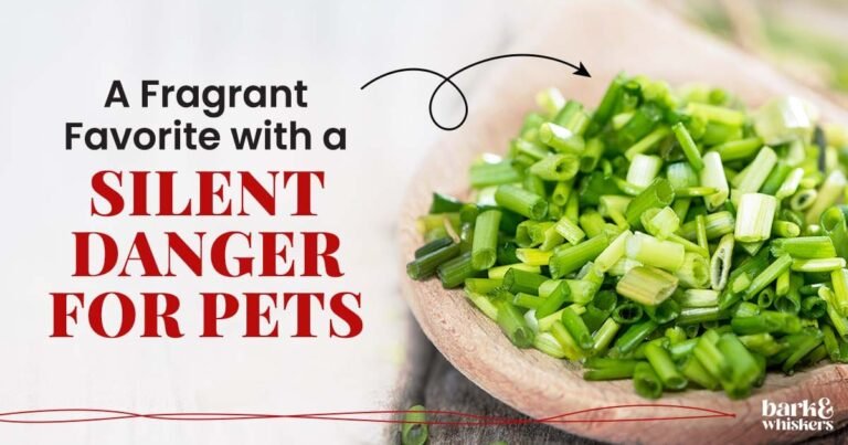 Good for You, but Not for Your Pet