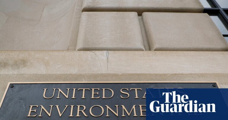 Health groups sue EPA over insecticide that causes testicular damage in rats | US Environmental Protection Agency