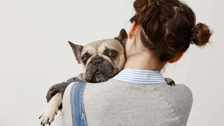 Some Dogs Really Don't Like to Cuddle