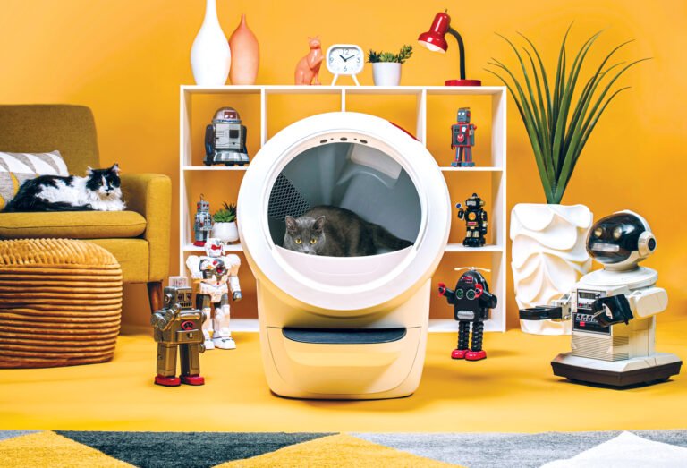 Stuff We Love: Fall/Winter 2025/26 Edition