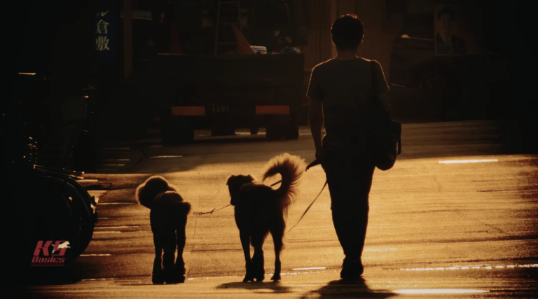 Training and Safety Tips for Nighttime Outings