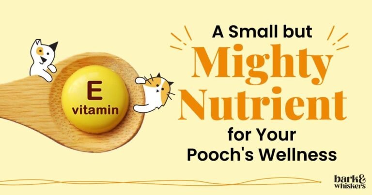 Vitamin E for Dogs - Benefits, Deficiency, and Safe Supplementation