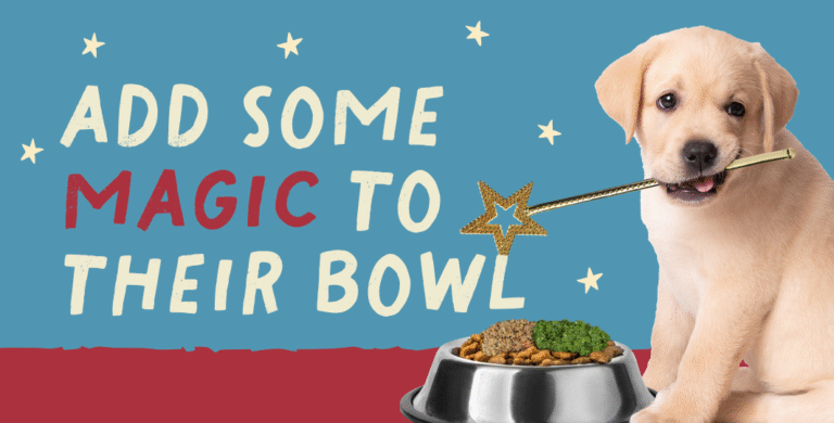 Add some magic to your dog’s meal with toppers dog holding magic wand by food bowl