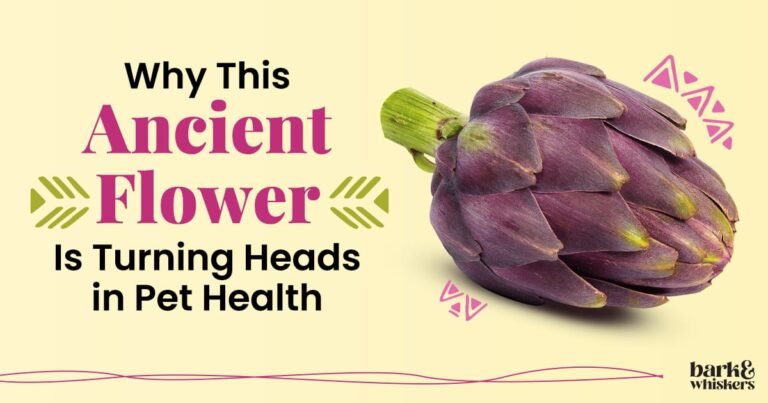 An Ancient, Edible Flower for Pets