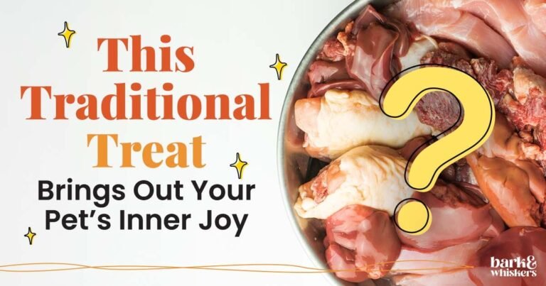 Are Organ Meats Good for Your Pet? Are Organ Meats Good for Your Pet?