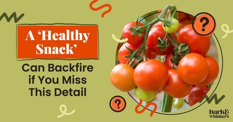 Are Tomatoes Good for Pets?