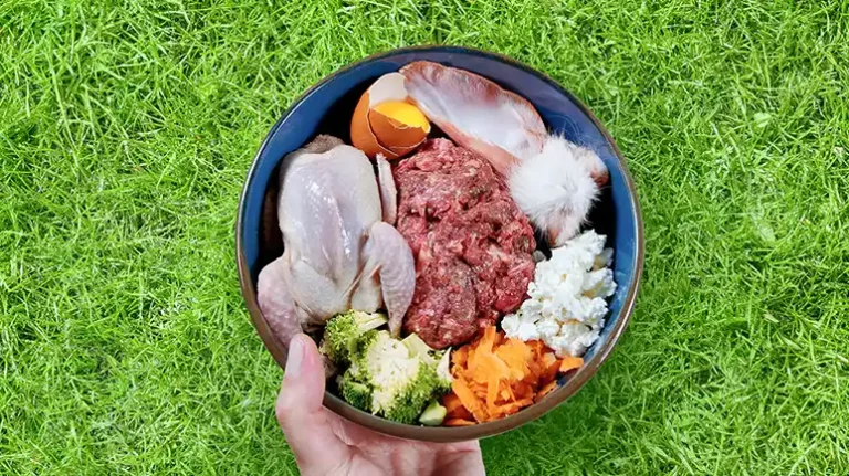 Bacteriophages in Raw Pet Foods