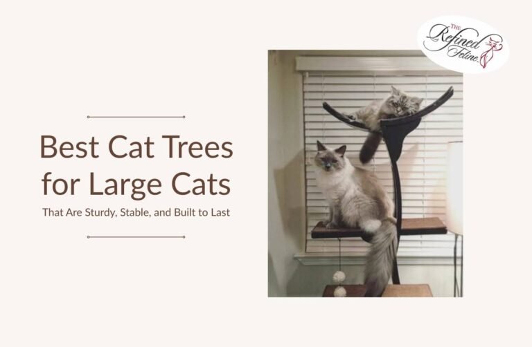 Best Cat Trees for Large Cats Best Cat Trees for Large Cats That Are Sturdy, Stable, and Built to Last