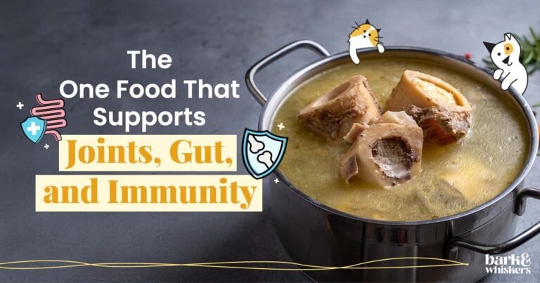 Bone Broth – Most Intense Healing Pet Food You Can Make at Home Bone Broth - Most Intense Healing Pet Food You Can Make at Home