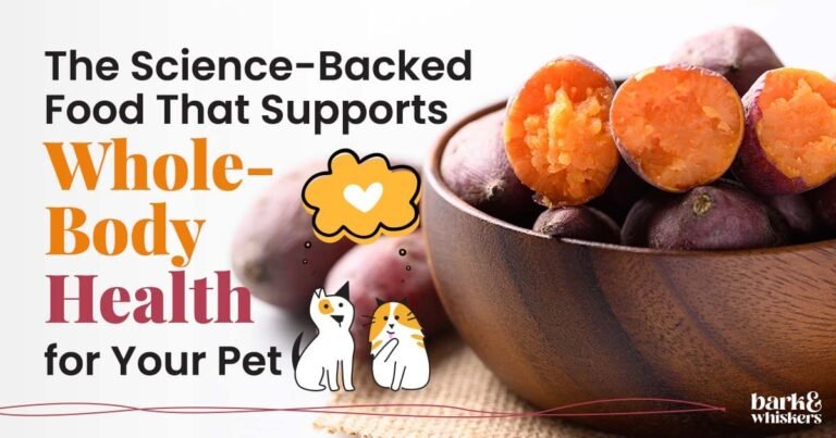 Can Pets Eat Sweet Potatoes?