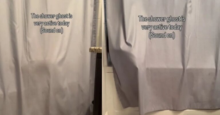 Cat Turns Into 'Shower Ghost' in Funny Video