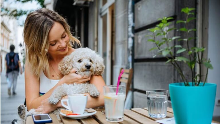 Everyday Feeding Habits That Strengthen The Bond Between You And Your Pet | Health and Fitness News India vs Women Live Score: Follow updates from the 1st ODI here. (PTI Photo)