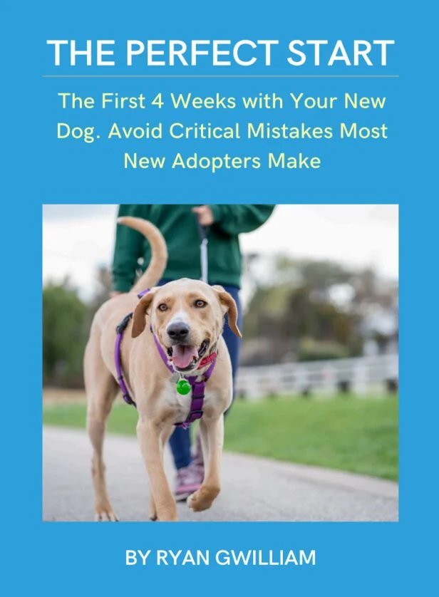 First 4 Weeks Dog Training Plan First 4 Weeks Dog Training Plan