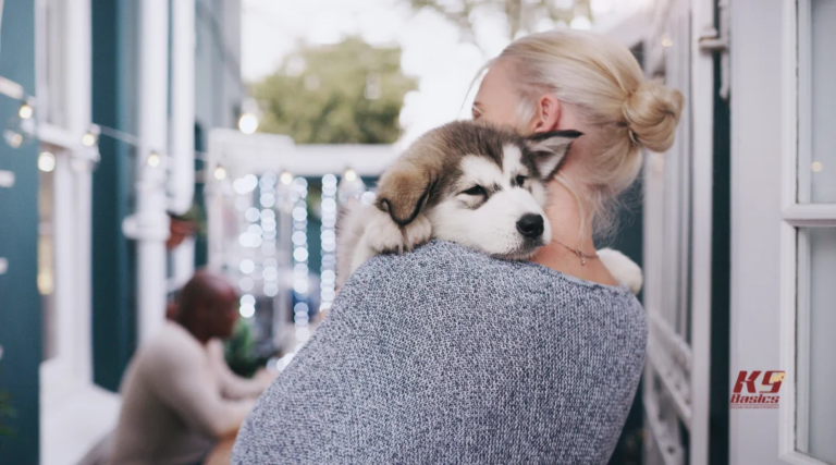 First-Time Dog Owner Training Guide: Essential Tips for Success First-Time Dog Owner Training Guide: Essential Tips for Success