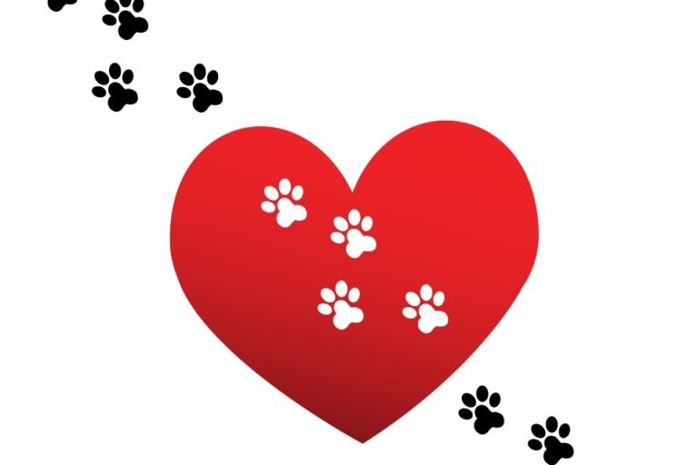 Focus on Heart Disease in Pets for Heart Month * All Natural Pet Care