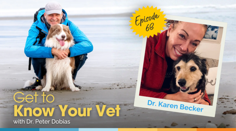 Get to Know Your Vet with Dr. Karen Becker – Dr. Dobias Healing Solutions