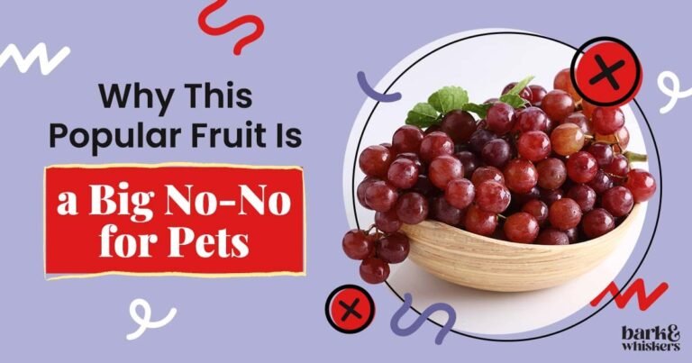 Here's Why Grapes Are Toxic to Pets