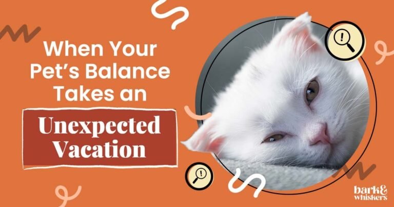 When Your Pet’s Balance Takes an Unexpected Vacation When Your Pet's Balance Takes an Unexpected Vacation