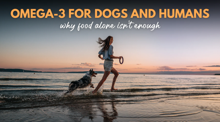 Why Food Alone Isn’t Enough – Dr. Dobias Healing Solutions Why Food Alone Isn’t Enough – Dr. Dobias Healing Solutions