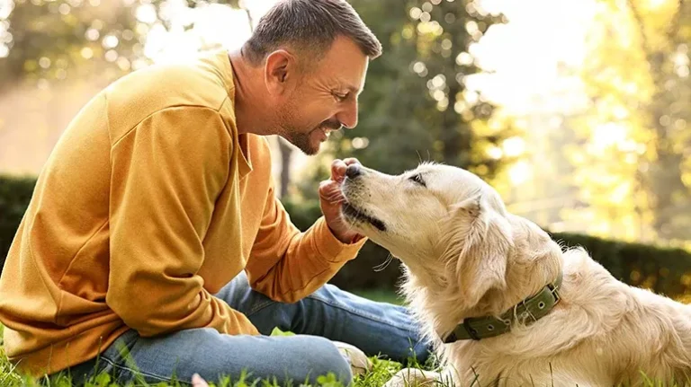 7 Benefits of Dog Ownership as You Age