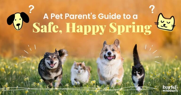 A Pet Parent's Guide to a Safe, Happy Spring