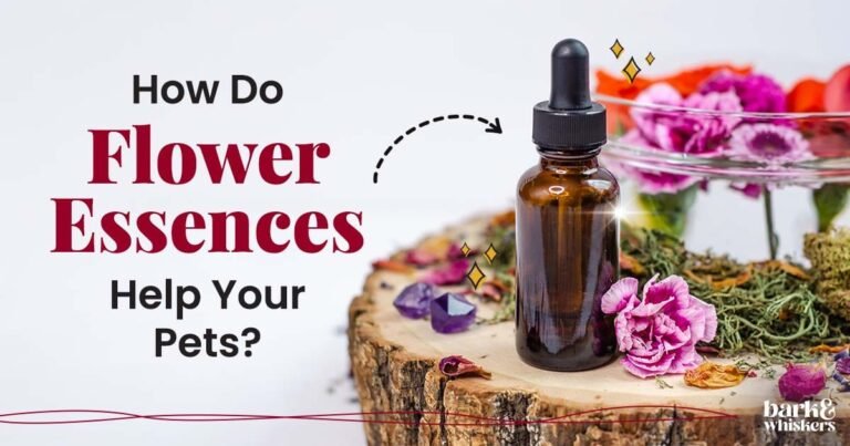 Anxiety Relief Without Sedation? Here's a Natural Option