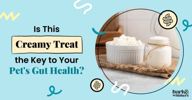 Can You Feed Yogurt and Kefir to Pets?