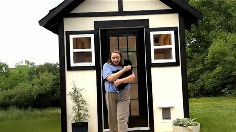 Cat Mom Builds a Tiny Cabin for Her 7 Rescue Cats