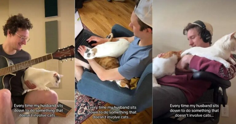 Cats Find a Way To Involve Themselves in Everything Dad Does