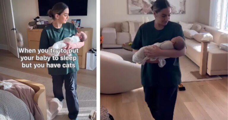 Cats Occupy All Beds When Mom Wants to Put Newborn Baby to Sleep