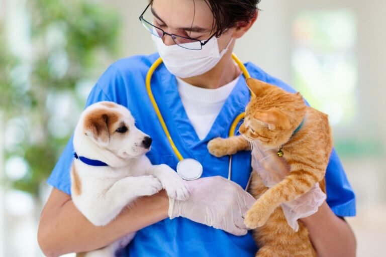 Chronic Conditions in Pets are the Most Common {and Expensive} * All Natural Pet Care