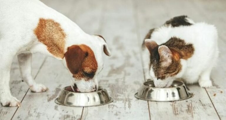 Clean Label Project — science or marketing?