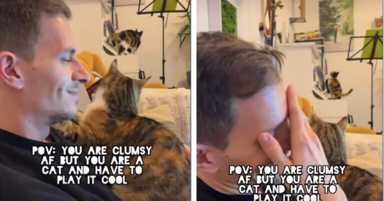 Clumsy Cat Acts Cool After Falling on Piano