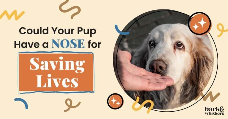 Could Your Pup Have a Nose for Saving Lives?