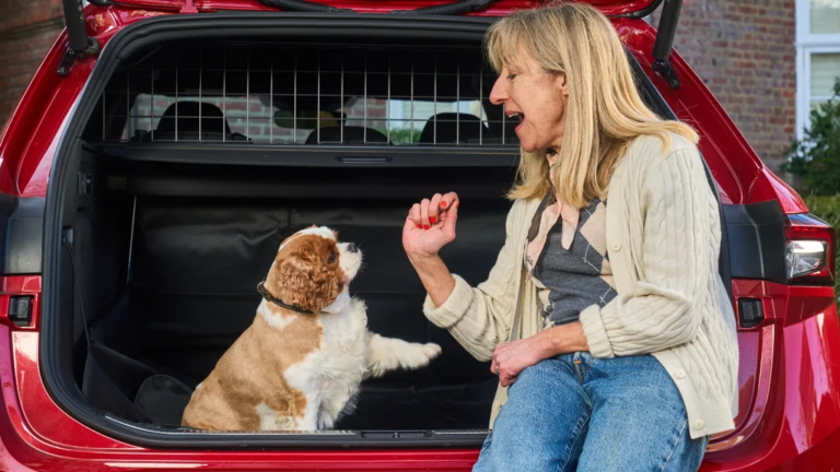 Joe media uk hamburger menu