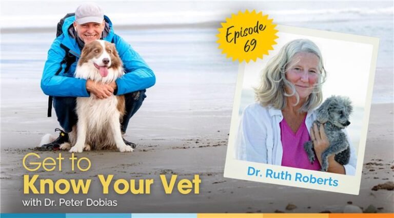 Get to Know Your Vet with Dr. Ruth Roberts – Dr. Dobias International Get to Know Your Vet with Dr. Ruth Roberts – Dr. Dobias International