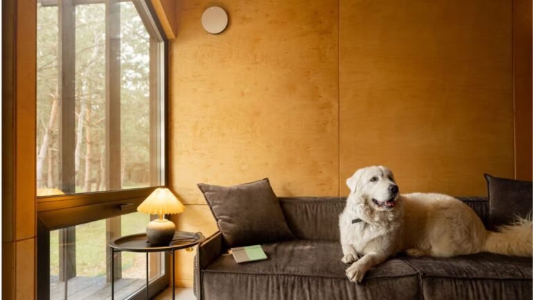 Kuldeep Yadav's wedding photos are out. (Picture Credit: IG/kuldeep_18)