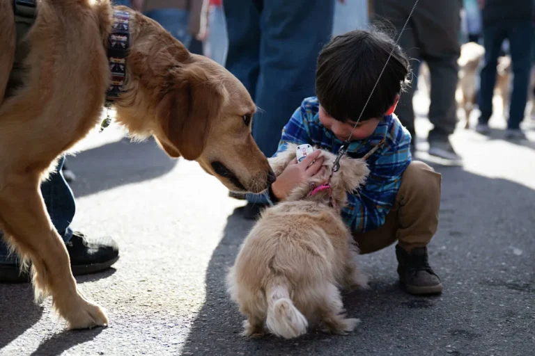 Yahoo lifestyle home