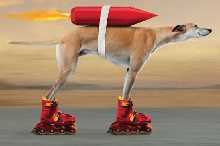 Innovation in a value economy