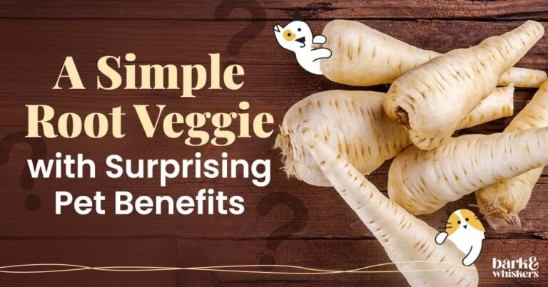 Is Parsnip Good for Pets?