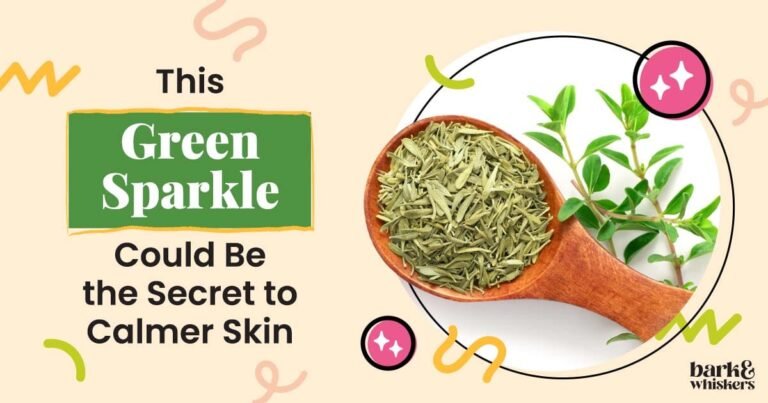 Is Thyme Good for Your Pets?