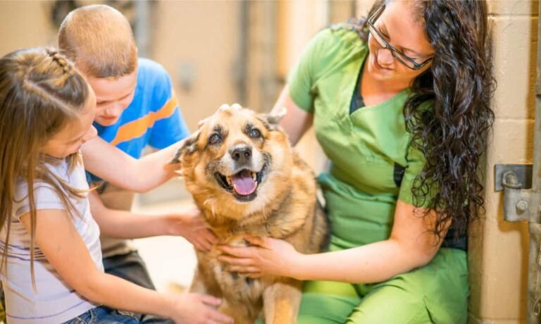 Meaningful Ways to Involve Your Children in Supporting Animal Rescue Efforts