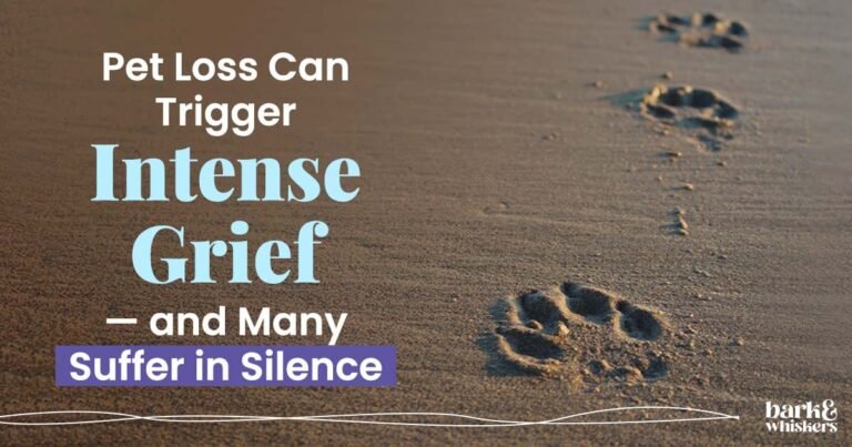 Pet Loss Can Trigger Intense Grief