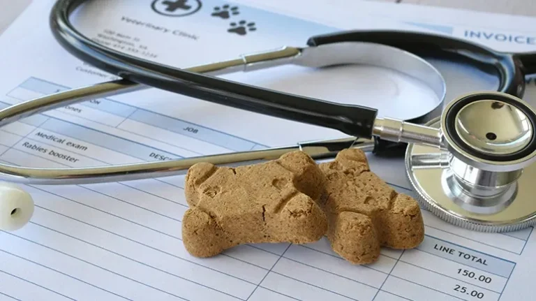 Preventive Strategies to Save Money on Veterinary Care