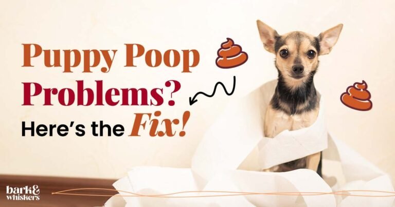 Puppy Poop Problems? Here's the Fix!