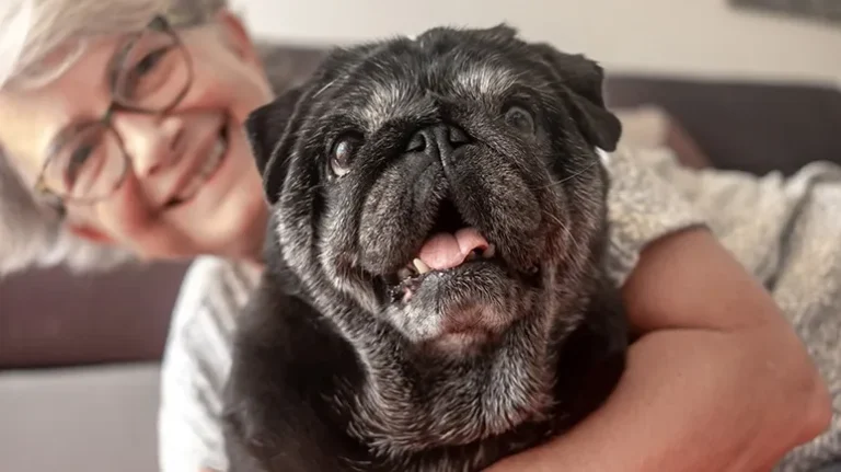 Seniors and Dogs - Why It's a Win-Win