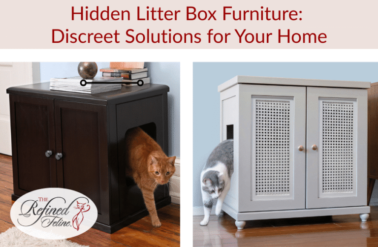 Hidden Litter Box Furniture: The Secret to Elegant Living with Cats